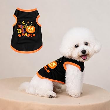 Amazon.co.jp 最新リリース: 犬用服・アクセサリ の新着ランキングです。